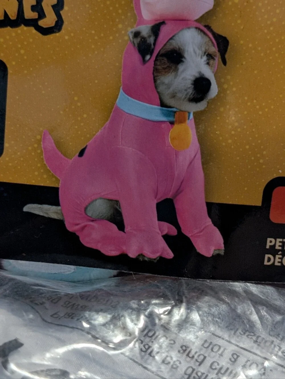 Flintstone's Dino Pet Costume by Rubies, S